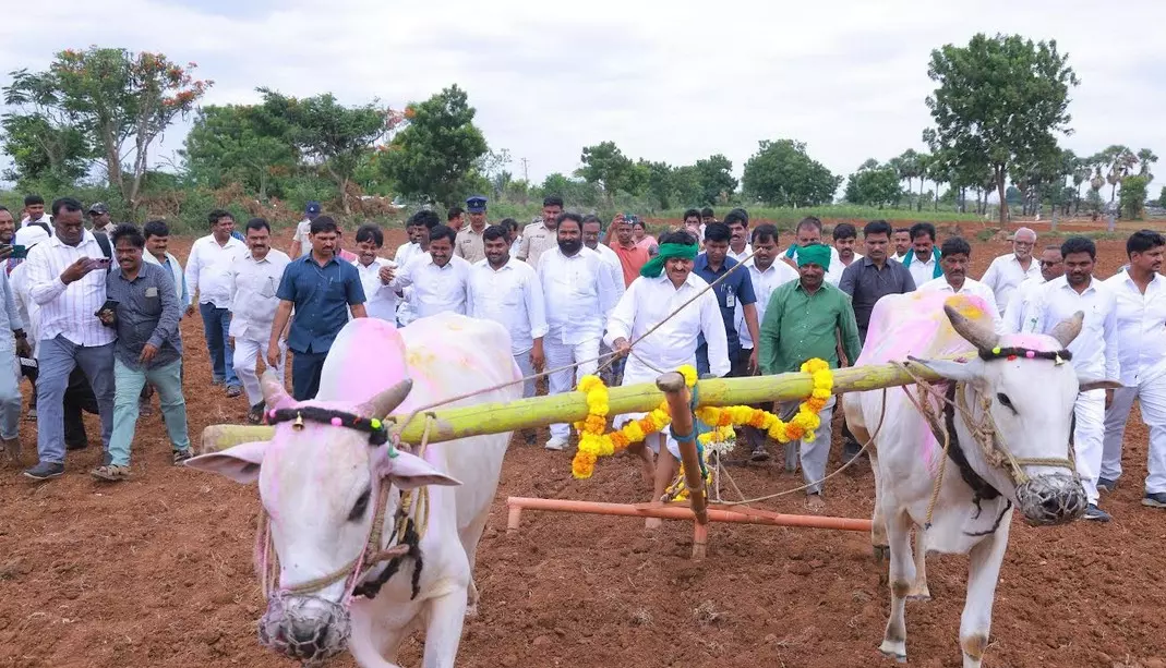 Schedule of Local Body Polls By June End: Ponguleti Schedule of Local Body Polls By June End: Ponguleti