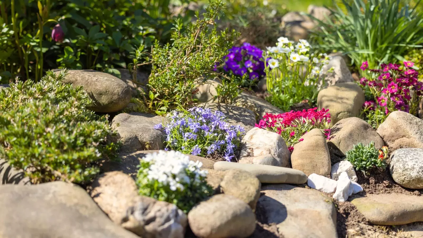 Rock Gardens Loses Its Charm Due to Poor Upkeep