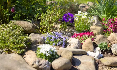 Rock Gardens Loses Its Charm Due to Poor Upkeep