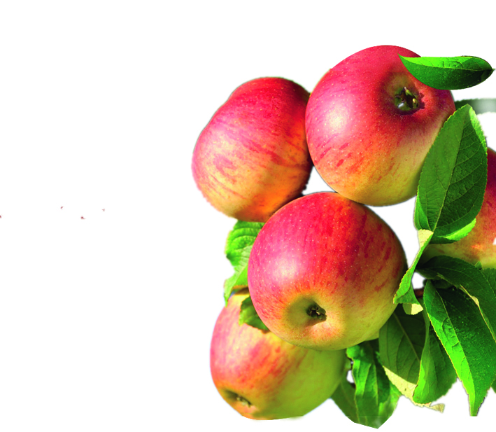 Conventional Crops In Unconventional Places