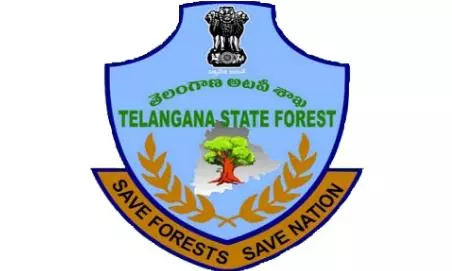 Telangana to Join Nationwide Tiger Census from December 2025