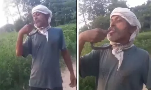 UP Man Critical After Snake Bites Tongue During Reel Stunt