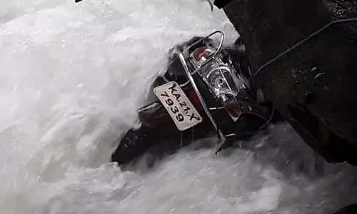 Karnataka: Two Youths in Kudremukh Escape Drowning