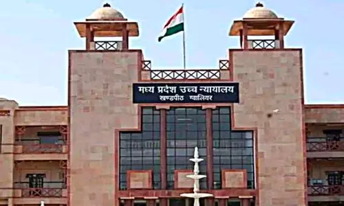 MP High Court to Hear PIL as 11 Horses Die After Transfer from Hyderabad