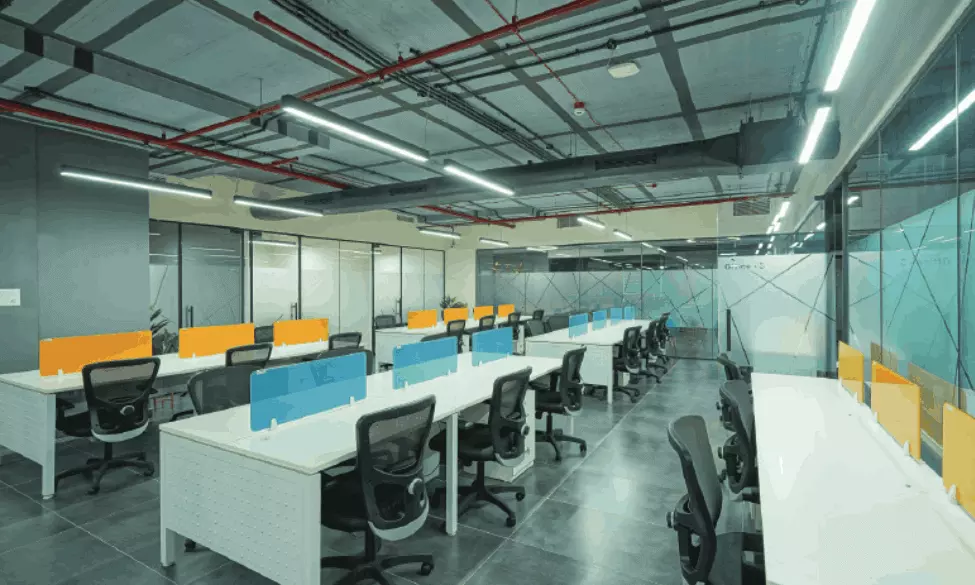 The Greening of the Corner Office