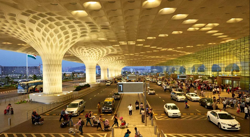 Mumbai Airport: Hydroponic Weed Smuggled from Thailand Seized