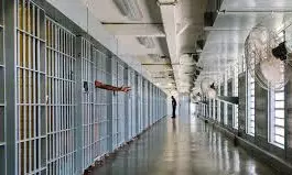 2 Indian Students Sentenced In Fraud Schemes In US