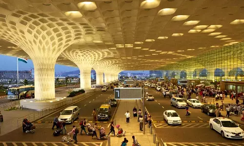 Rs 25 Crore Hydroponic Weed Seized at Mumbai Airport; 3 Arrested