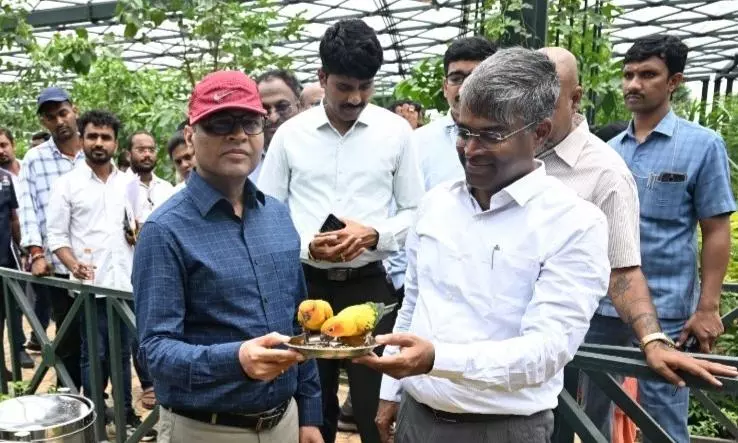 Chief Secretary Inspects Kothwalguda Eco Park