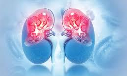 India Sees Rising Kidney Cancer Cases, Ranks Fourth Globally