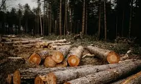 World Likely To Exhaust Carbon Budget In 3 Years