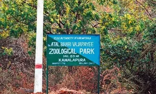 Hosapete: Tigress Devi Dies at Atal Bihari Vajpayee Zoological Park in Kamalapura