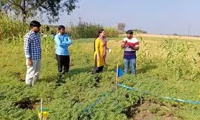 Gardening Skills Training Launched For Amaravati’s EWS Youth