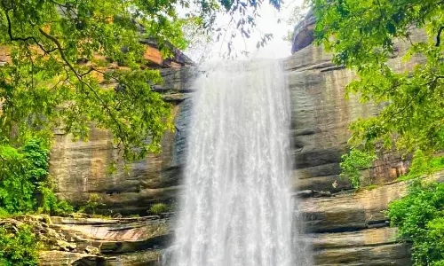 Adivasi Youth Take Up Home Stay At Gundala Waterfall