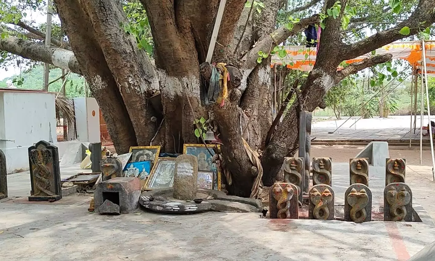 Historians, Philanthropists, Locals Seek Protection Of The Rich Heritage