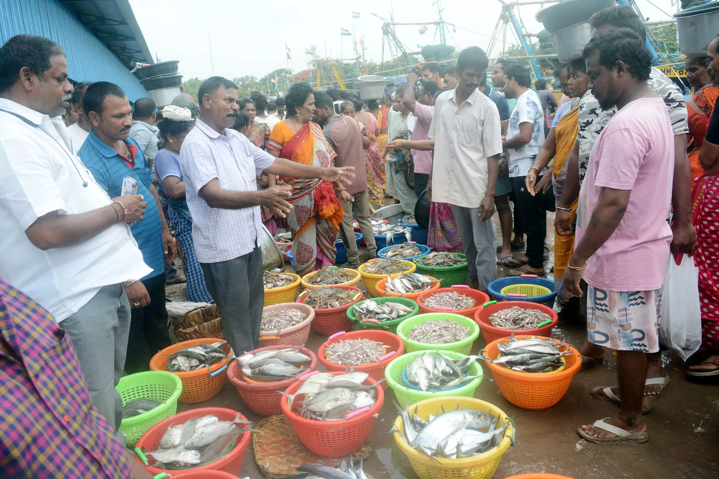 Sunday Witnesses Mad Rush for Sea Catch at Vizag Fishing Harbour