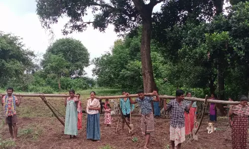 Tribals Who Lost Bulls, Cows in Tiger Attack Await Compensation for 3 Years