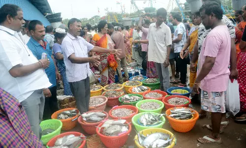 Sunday Witnesses Mad Rush for Sea Catch at Vizag Fishing Harbour