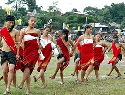 Organizations Seek Removal of 'Any Kuki Tribes' from Manipur ST List