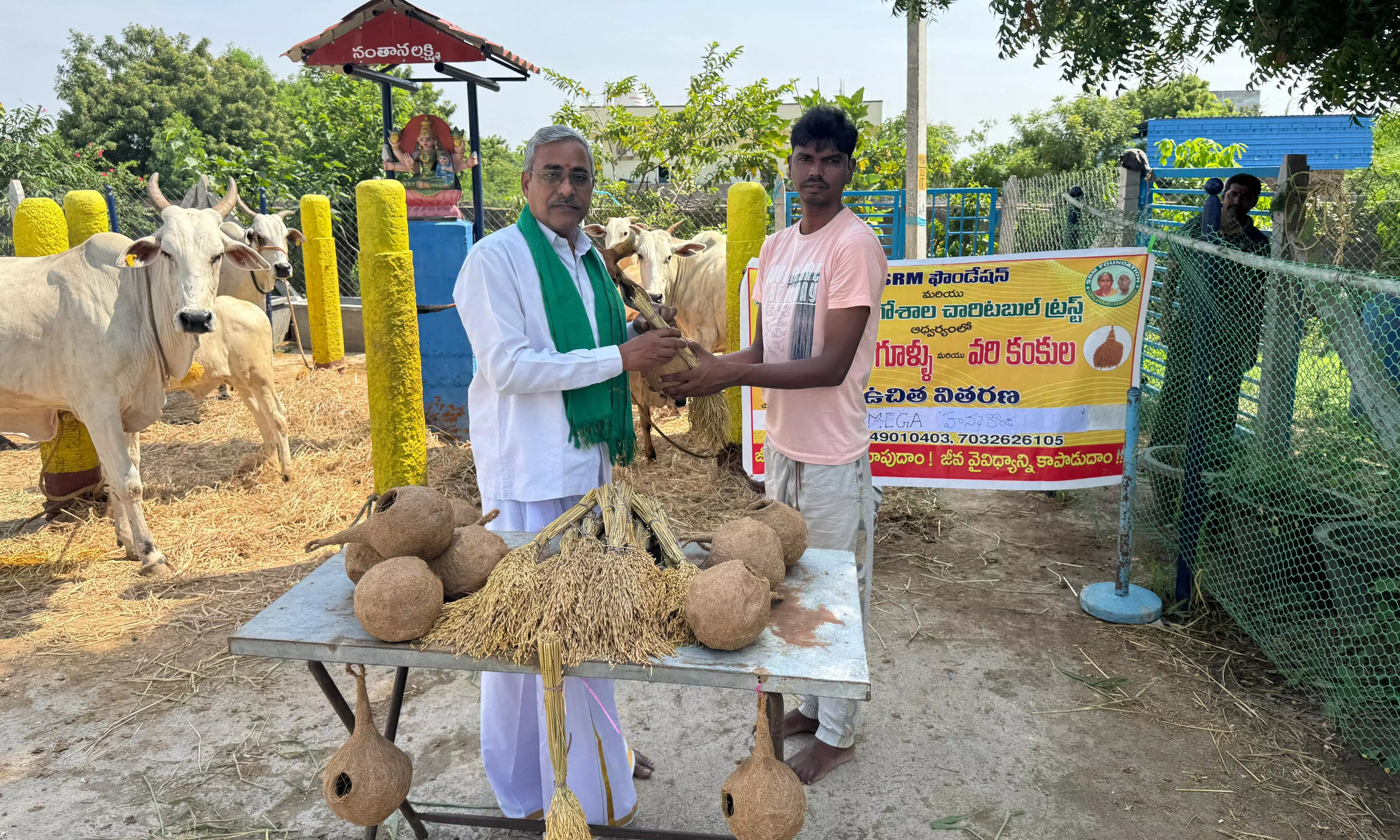 Free Artificial Nests, Paddy Stalks Distributed In Tri-Cities To Help Sparrows