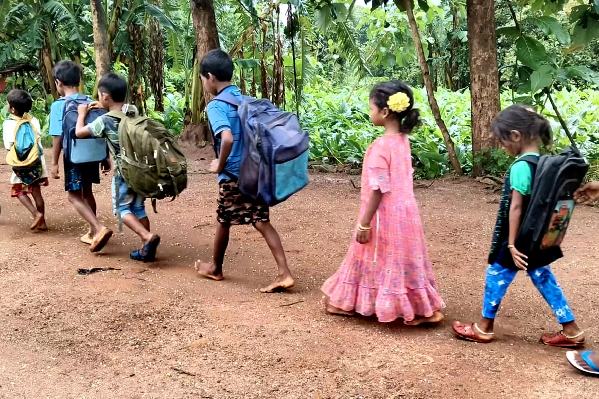 Anakapalles Tribal Children Walk Miles For Education Anakapalles Tribal Children Walk Miles For Education