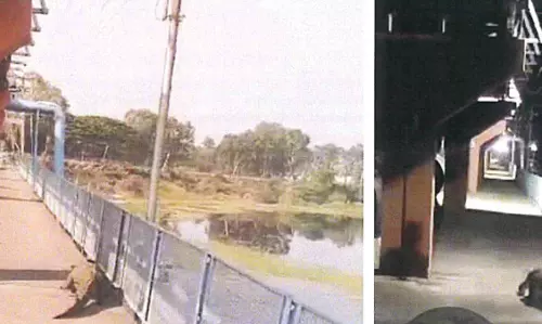 Crocodiles no Threat to Manjira, Dam Safety Experts Ignorant