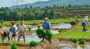 Rythu Bharosa, Rains Boost Agricultural Activities