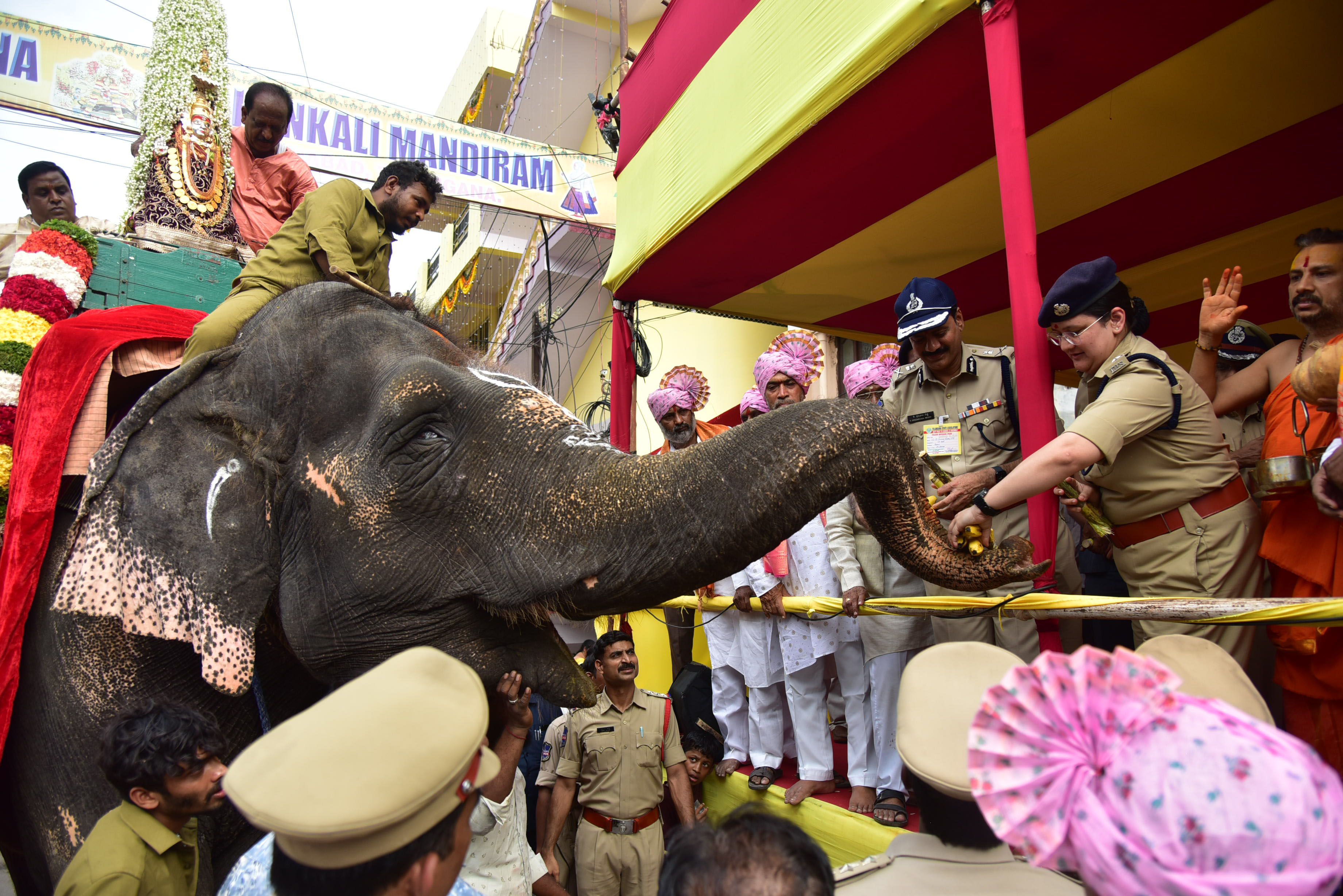 Elephant Lakshmi to Grace Hyderabad's Bonalu Celebrations