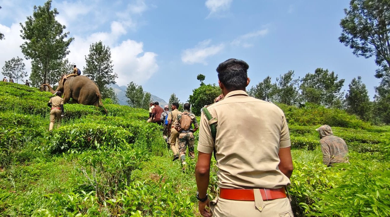 Kerala Faces Rising Human-Wildlife Conflict, Casualties Mount