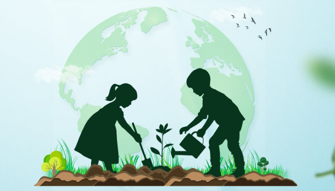 Nature Gardeners Plant Trees to Green Visakhapatnam Hills