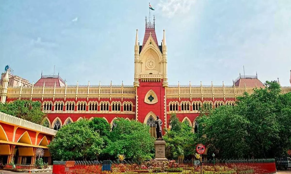 Calcutta HC Grants Permission to Advocates to File PILs Over Law Students Gang Rape
