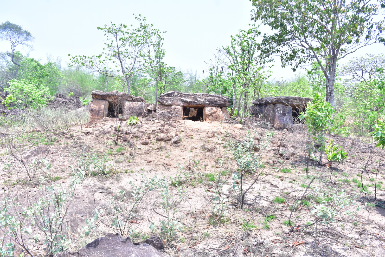 3,000-Year-Old Tombs Discovered Near Medaram in Mulugu