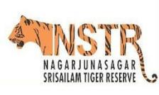 Nagarjunasagar-Srisailam Tiger Reserve Closed for Breeding Season