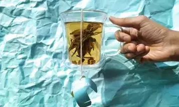 Assams Bagless Tea Technology Gets Patent