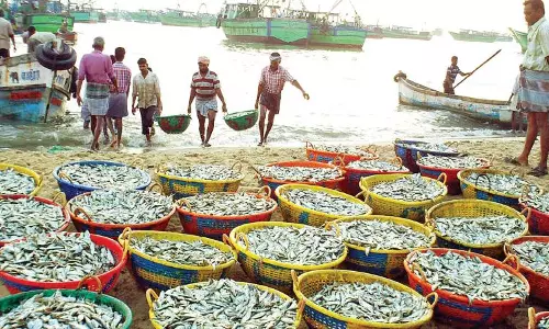 EU Nod to 102 Indian Fishery Units Set to Boost Seafood Exports