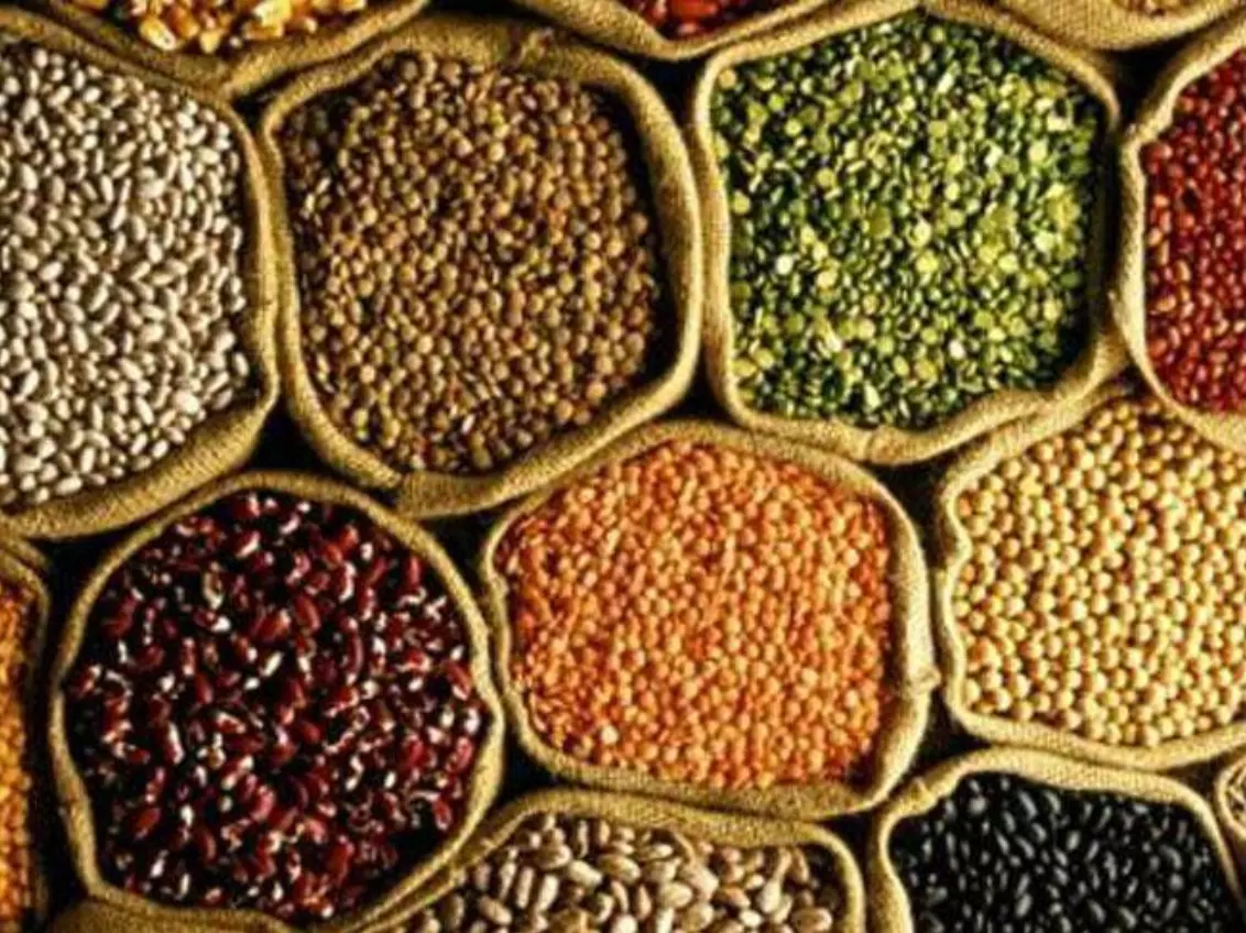 Poor Prices Limit Bengal Gram Stocks To Warehouses