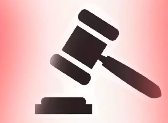 Elgar Case Accused Ramesh Gaichor Released on Temporary Bail