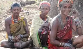 In A First, Tribals Conduct Self-Census In Bastar
