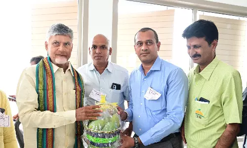 CM Naidu Orders Immediate Mango Procurement