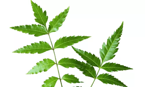 Power of Neem: How This Ancient Ingredient is Revolutionizing Modern Skincare