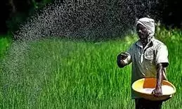 Farmers Queue Up For Urea In Yemmiganur