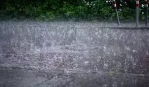 Adilabad, Komaram Bheem Asifabad on Alert as Heavy Flood Warnings Issued