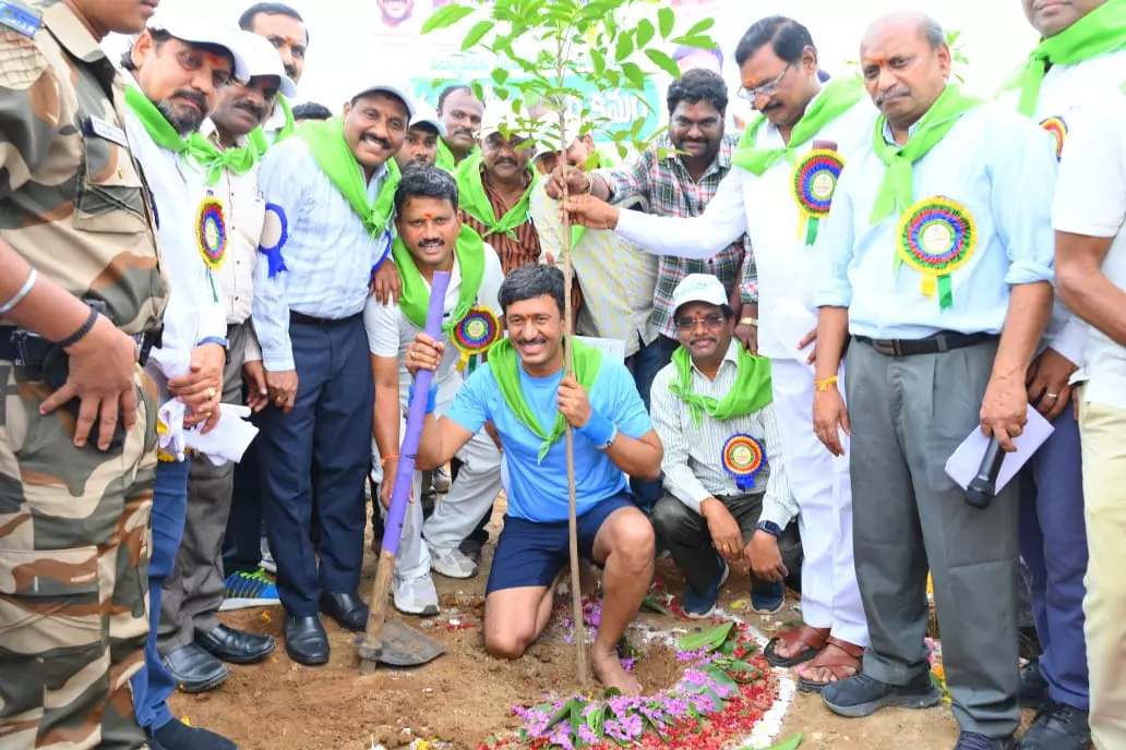 Singareni Targets 4.5 Million Saplings Under Van Mahotsav 2025