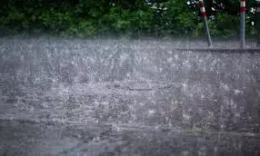 HP: Met Issues Red Alert For Extremely Heavy Rains In 3 Districts On Sunday