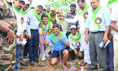 Singareni Targets 4.5 Million Saplings Under Van Mahotsav 2025