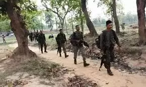 Maoist Sniper, Carrying Rs 8 Lakh Bounty, Killed In Bijapur Encounter