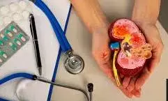 Early CKD Screening Can Save ₹1,100 Crore In Dialysis Costs, Say Nephrologists