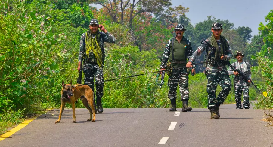 12 Naxals Surrender In Dantewada 12 Naxals Surrender In Dantewada