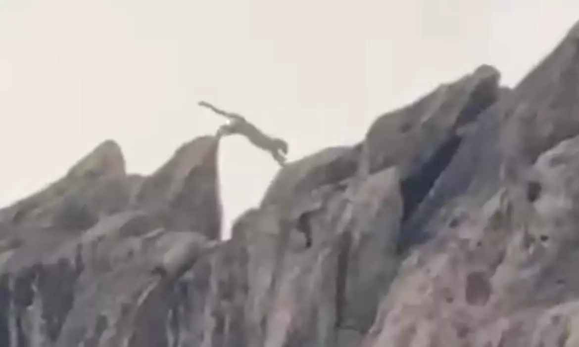 Search On For Leopard That Visited Garbage Dump Near Mahbubnagar Town