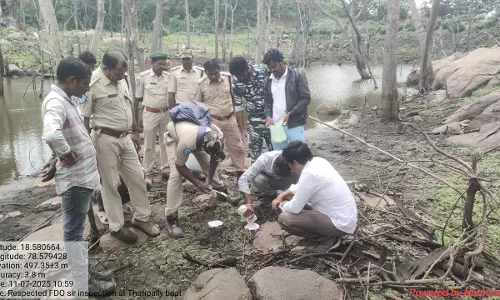 Tiger Seen Moving In Nizamabad Forest